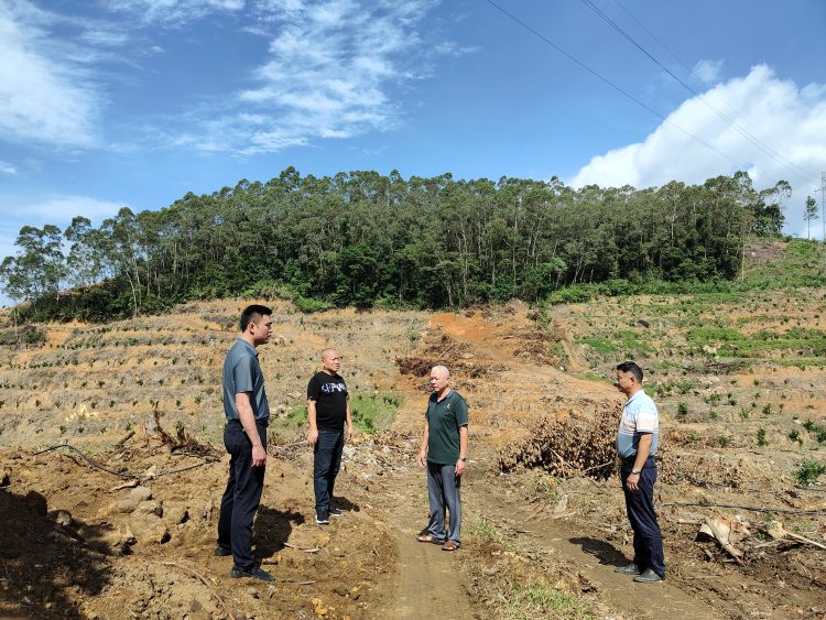 長征子公司班子成員督導(dǎo)檢查綠橙基地?fù)峁芄ぷ?>
										</div>
																				<div   id=